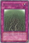 Wall of Thorns