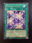 Elegant Egotist