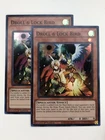 Droll & Lock Bird