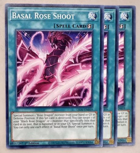 Basal Rose Shoot