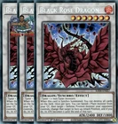 Black Rose Moonlight Dragon