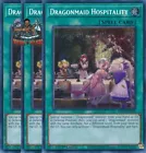 Dragonmaid Hospitality