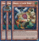 Droll & Lock Bird
