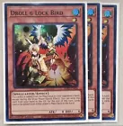 Droll & Lock Bird