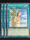 Forbidden Lance