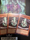 Lightning, Dragon Ruler of Drafts