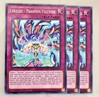 Lyrilusc - Phantom Feathers