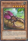 Naturia Stag Beetle