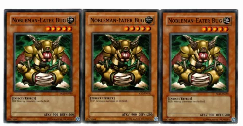 Nobleman-Eater Bug