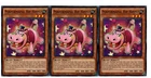 Performapal Hip Hippo
