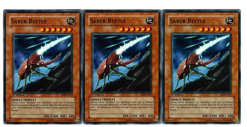 Saber Beetle