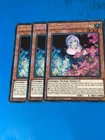 Ghost Sister & Spooky Dogwood