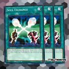 Soul Exchange