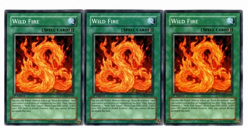 Wild Fire