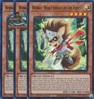 Artorigus, King of the Noble Knights