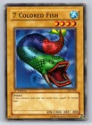 7 Colored Fish