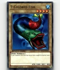 7 Colored Fish