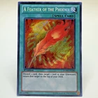 A Feather of the Phoenix