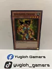 Amazoness Fighter