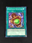Amazoness Heirloom