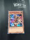 Amazoness Pet Liger