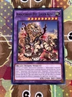 Amazoness Pet Liger King
