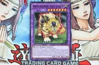 Amazoness Pet Liger