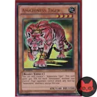 Tiger Dragon