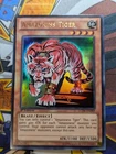 Tiger Dragon