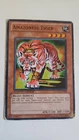 Left Leg of the Forbidden One
