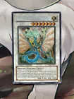 Ancient Fairy Dragon