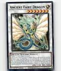 Ancient Fairy Dragon