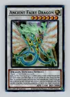 Coral Dragon