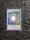 Ancient Fairy Dragon