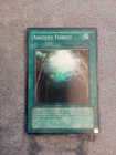 Ancient Forest
