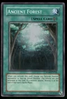 Ancient Forest