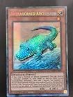 Animadorned Archosaur