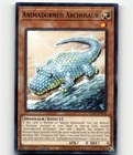 Animadorned Archosaur