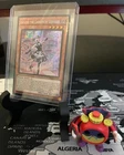Welcome Labrynth