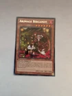 Aromage Bergamot
