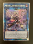 Black Rose Moonlight Dragon