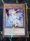 Ash Blossom & Joyous Spring