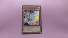 Ash Blossom & Joyous Spring