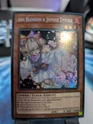 Ash Blossom & Joyous Spring