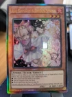 Ash Blossom & Joyous Spring