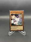 Ash Blossom & Joyous Spring