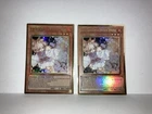 Ash Blossom & Joyous Spring