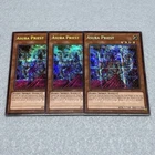 Earthbound Immortal Aslla piscu