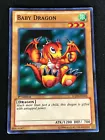 Luminous Dragon Ritual
