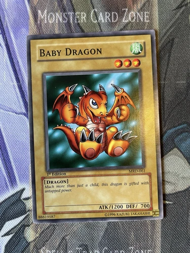 Baby Dragon